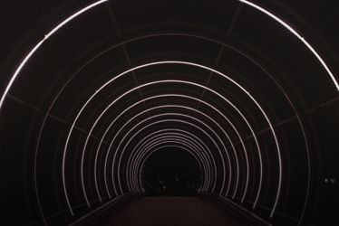 Educational Excellence: The University Experience (3)